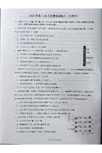 2024北京人大附中高三上10月月考生物（教师版）第1页