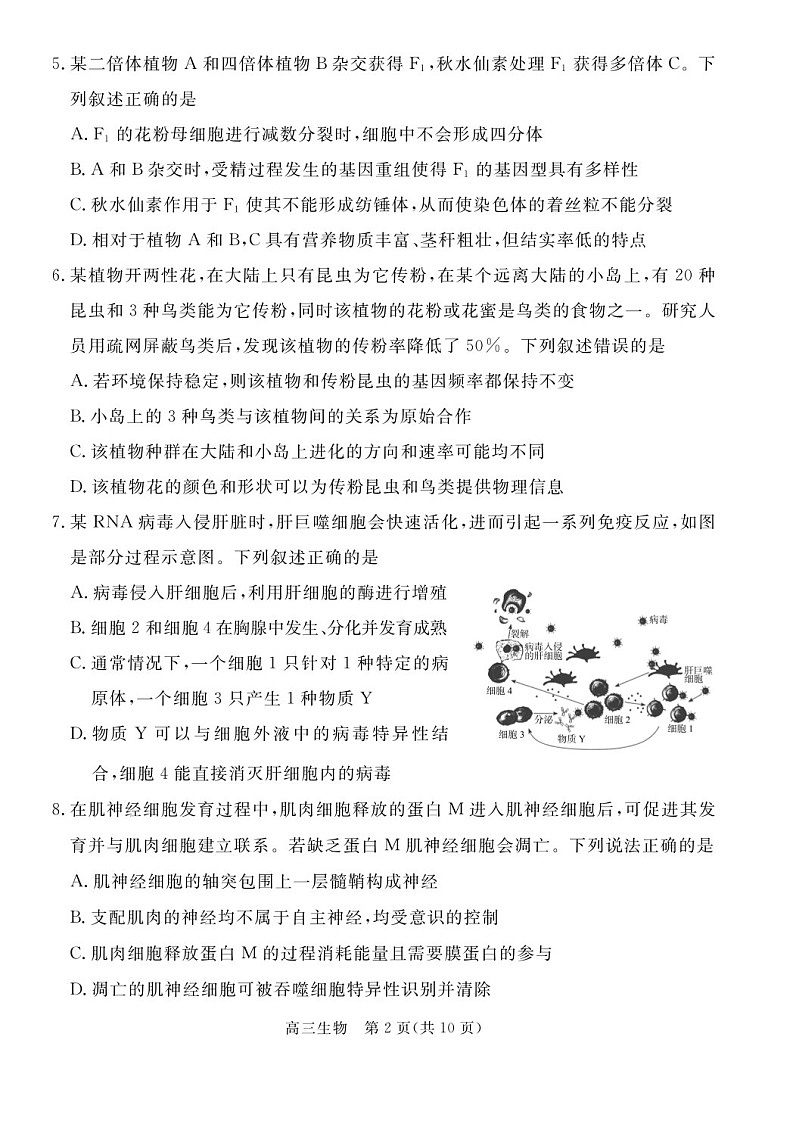 河北省张家口市2024~2025学年高三上学期期末教学质量监测生物试题（含答案）第2页