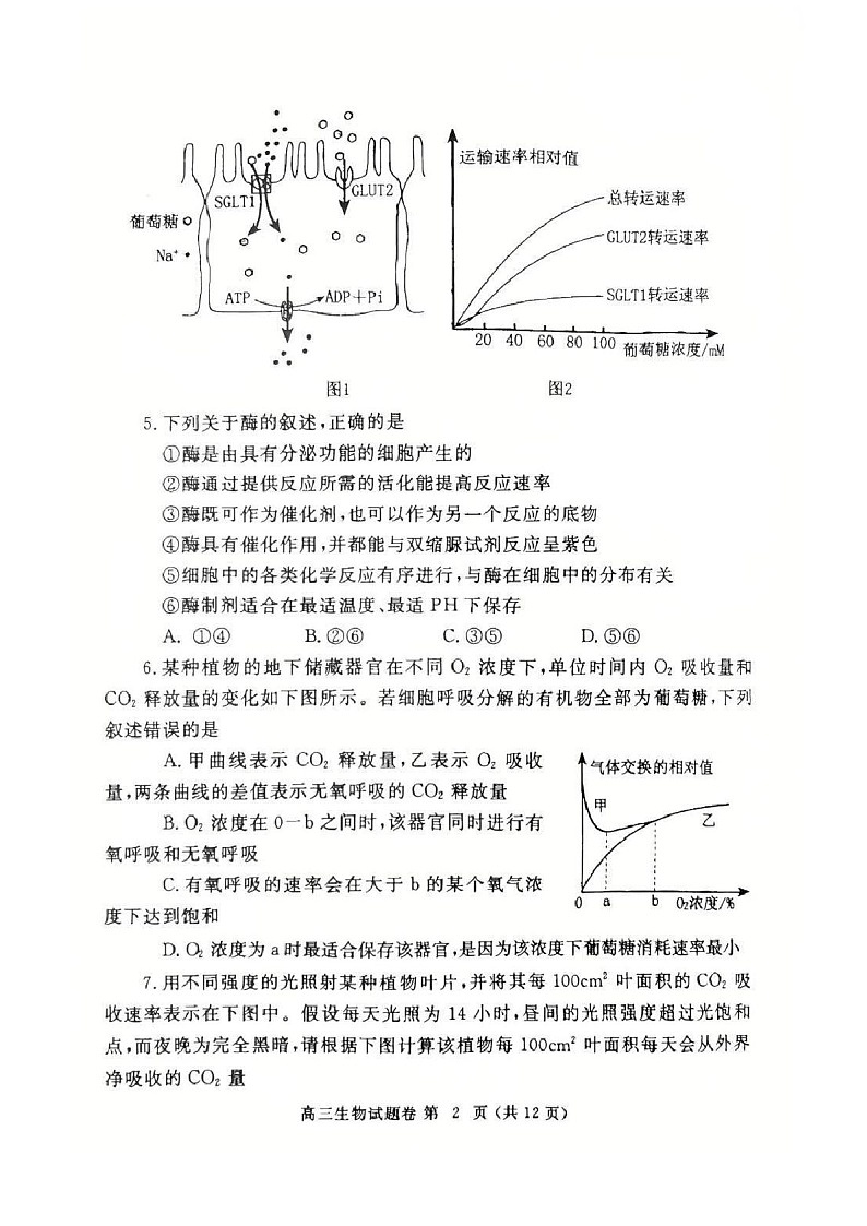 河南省郑州市2025届高三上学期第一次质量预测-生物试题（含答案）第2页