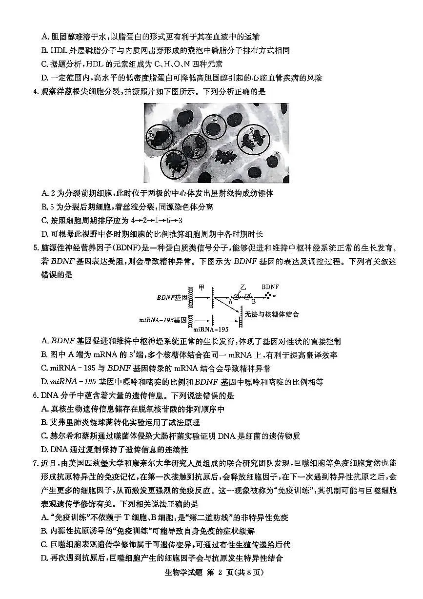 湖南九校联盟2026届高三上学期9月第一次联考生物试题+答案(1)第2页