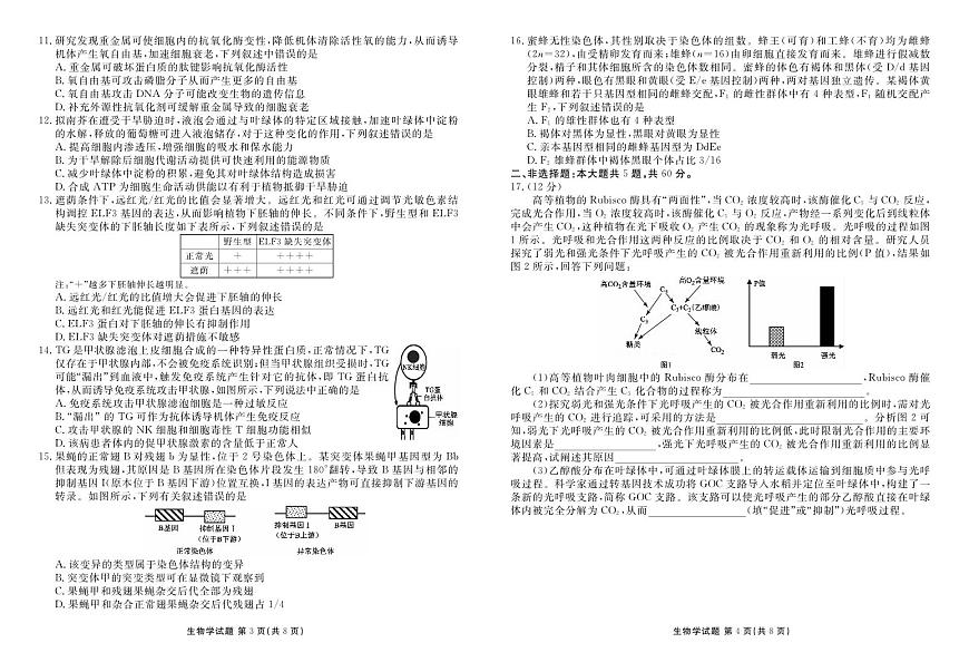 广东衡水金卷2026届高三上学期9月考生物试题+答案第2页