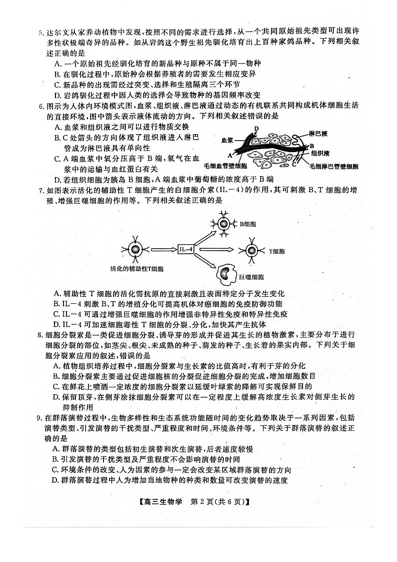 河池市2024年秋季学期高三上学期期末学业水平质量检测生物试题（含答案）第2页