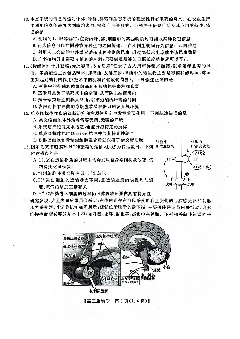 河池市2024年秋季学期高三上学期期末学业水平质量检测生物试题（含答案）第3页