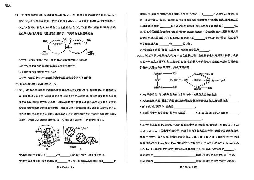 百师联盟2026届高三上学期9月调研考试生物试题+答案（A）第3页