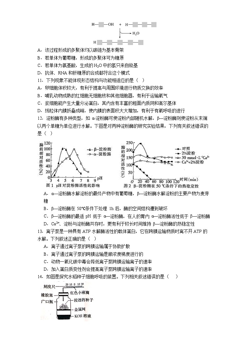 贵州省黔东南苗族侗族自治州凯里市第一中学2025-2026学年高三上学期9月月考生物试题第3页