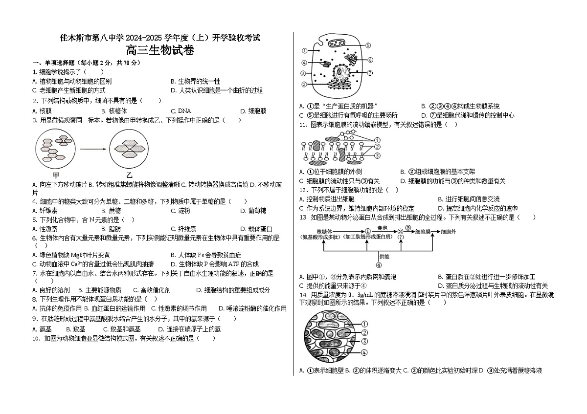 黑龙江省佳木斯市东风区佳木斯市第八中学2024-2025学年高三上学期开学考试生物试题第1页