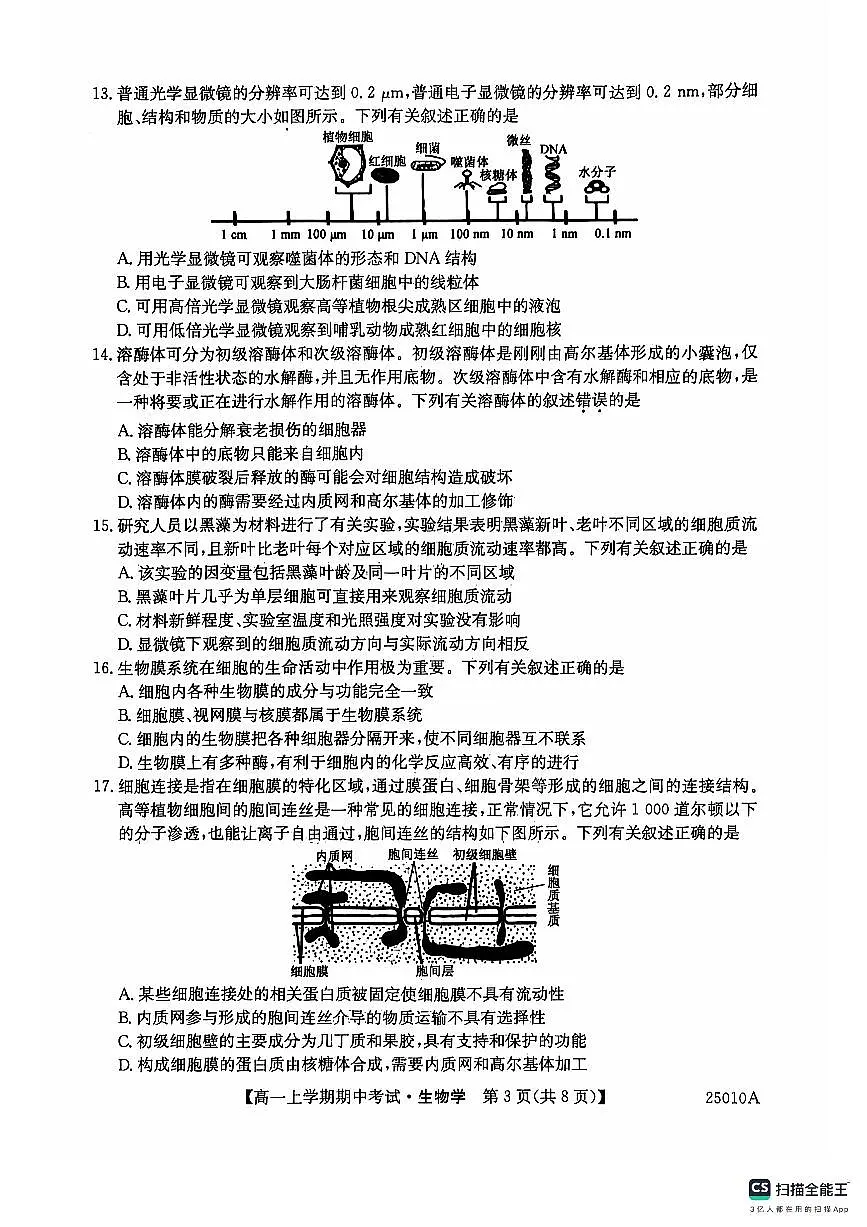 黑龙江省龙东联盟2024-2025学年高一上学期期中考试生物试题第3页