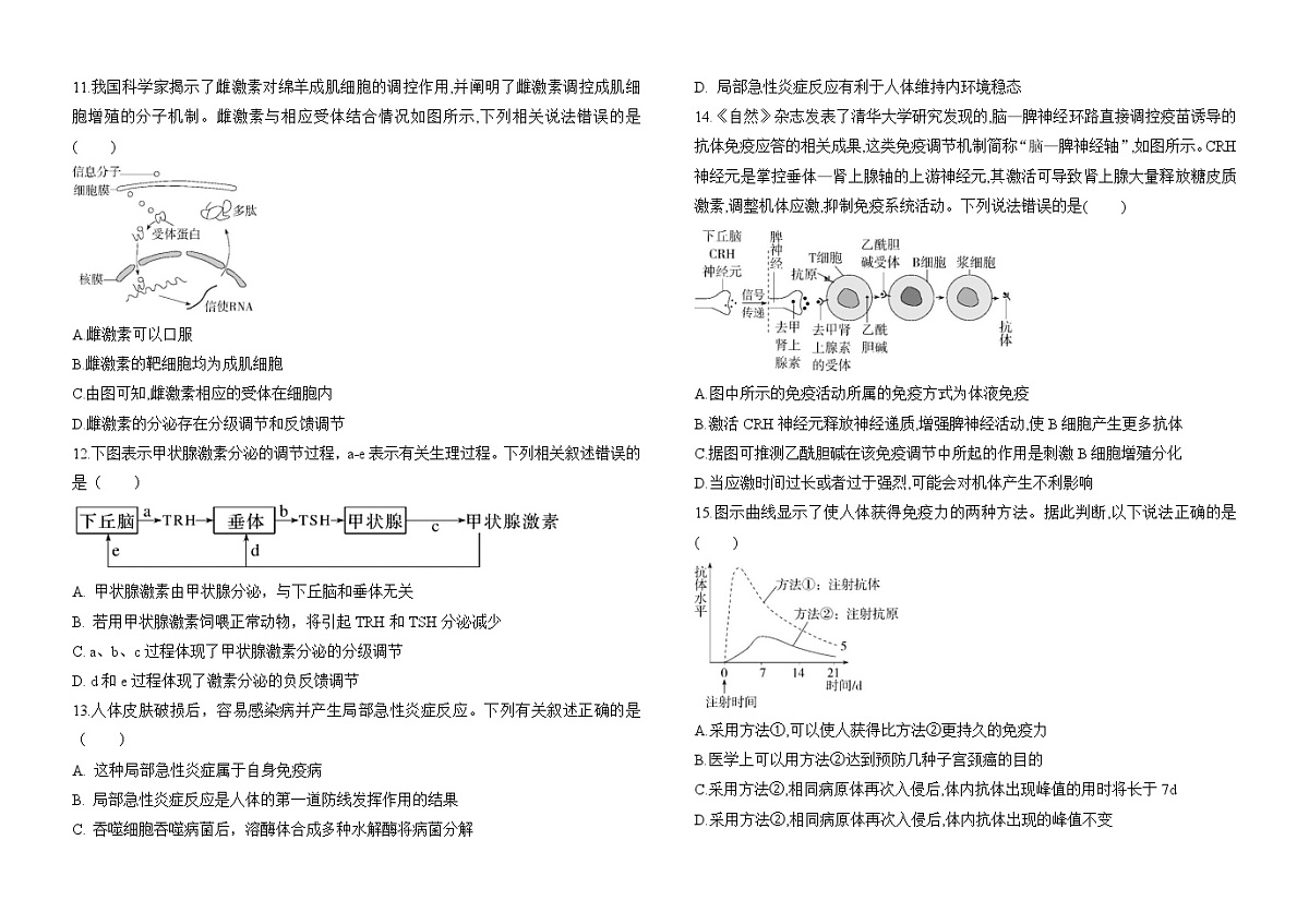 黑龙江省龙西北名校联盟2024-2025学年高二上学期期中考试生物试题第3页