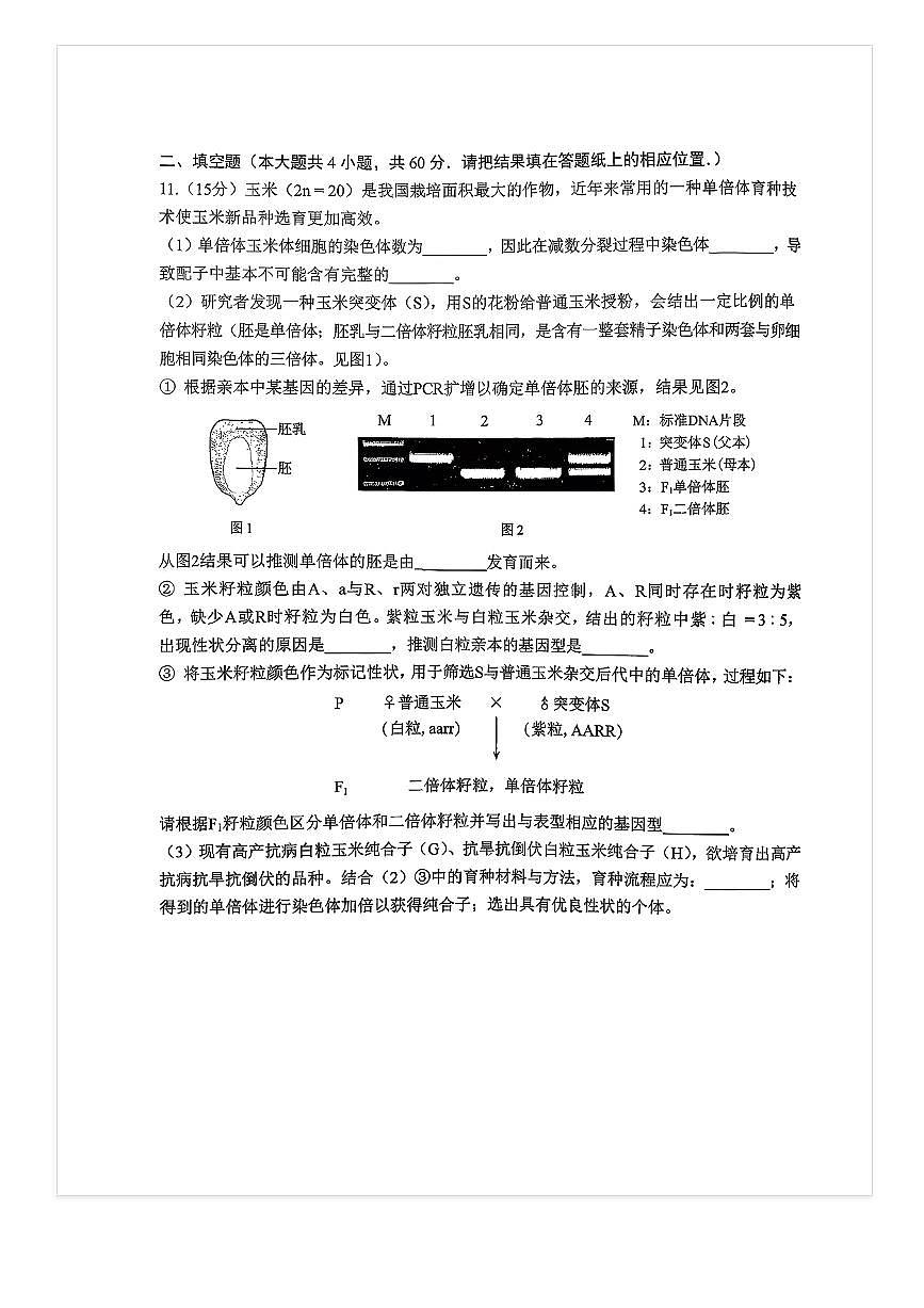 2025-2026学年人大附中高三上统练二月考生物试题 无答案第3页