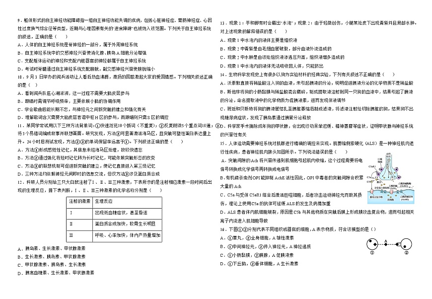 宁夏回族自治区石嘴山市平罗县平罗中学2025-2026学年高二上学期9月月考生物试题（含答案）第2页