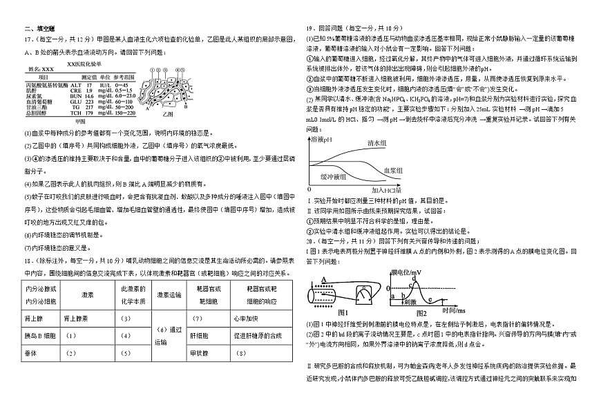 宁夏回族自治区石嘴山市平罗县平罗中学2025-2026学年高二上学期9月月考生物试题（含答案）第3页
