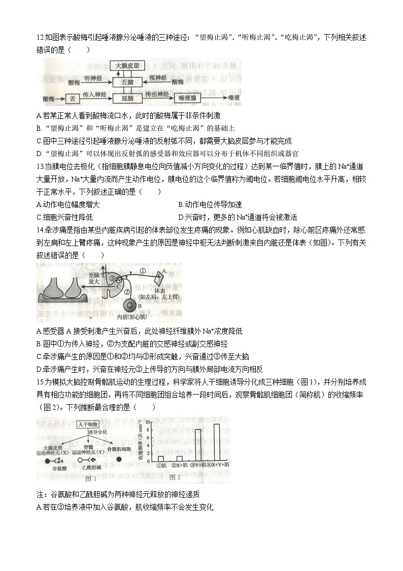 安徽省亳州市蒙城县实验永兴中学2025—2026学年高二上学期9月月考生物试题(含答案)第3页