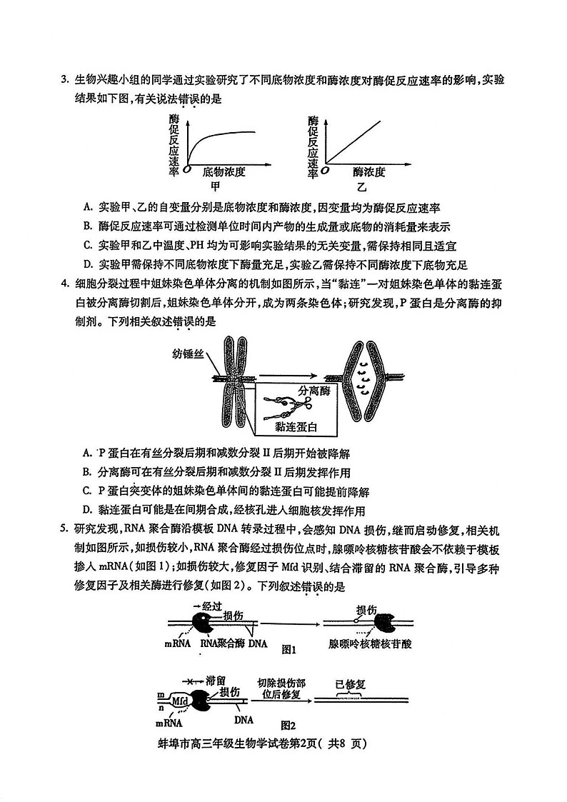 安徽省蚌埠市2025届高三年级上学期第一次教学质量考试-生物试卷（含答案）第2页