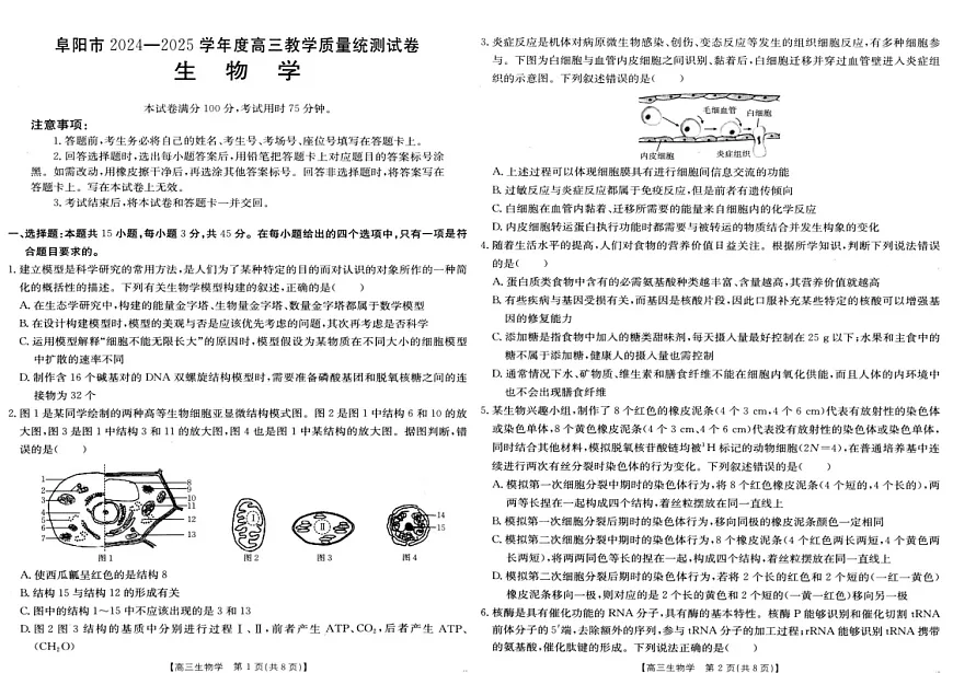 安徽省阜阳市2025届高三上学期教学质量统测生物试卷（含答案）第1页