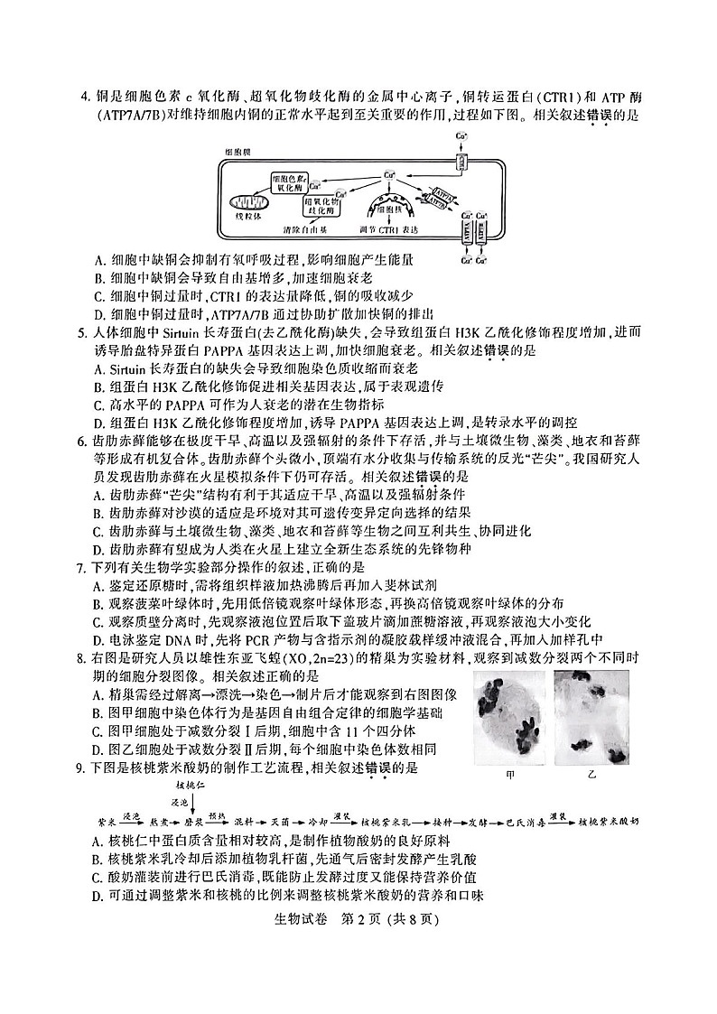 江苏省南通市泰州市镇江市盐城市2025届高三上学期第一次模拟-生物试卷（含答案）第2页