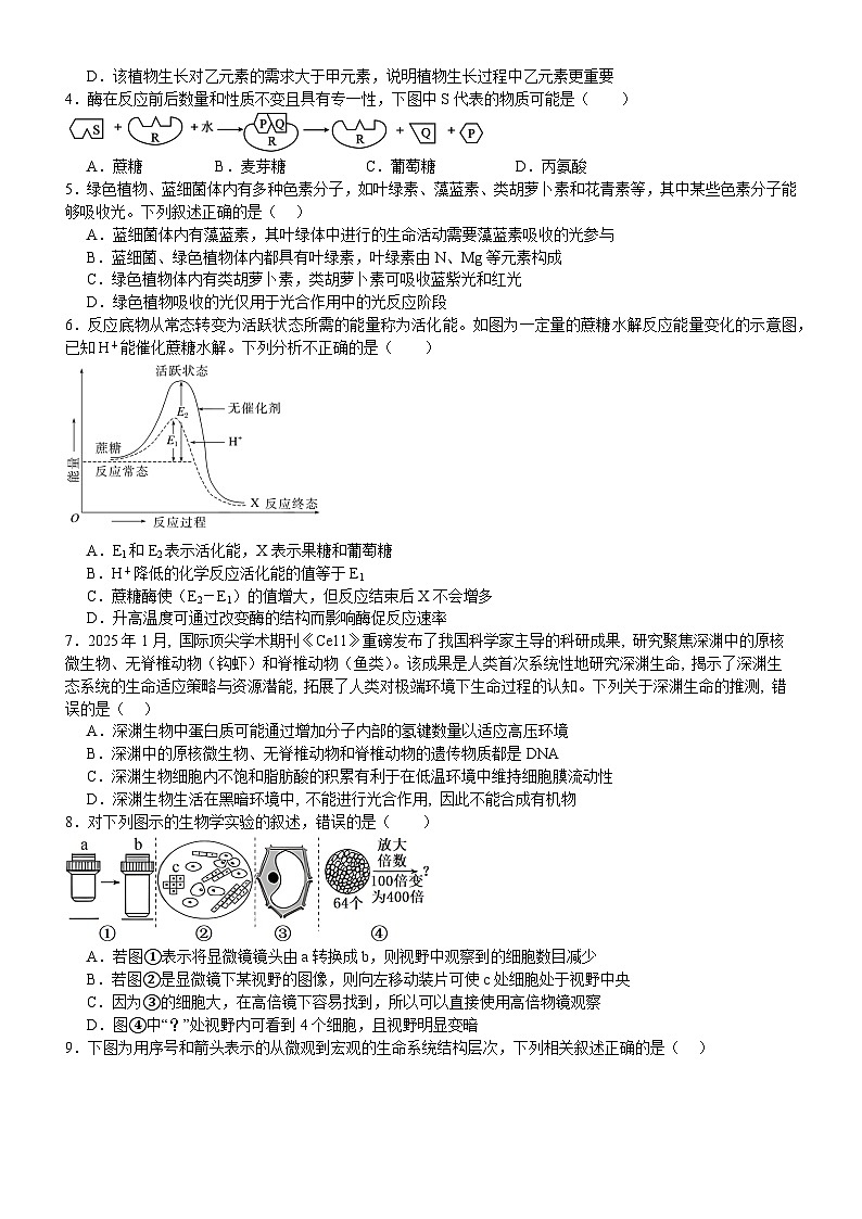河南省信阳市淮滨县滨城高级中学2025-2026学年高三上学期9月月考生物第2页