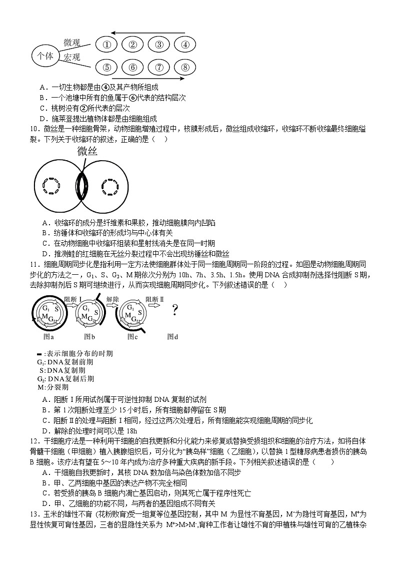 河南省信阳市淮滨县滨城高级中学2025-2026学年高三上学期9月月考生物第3页
