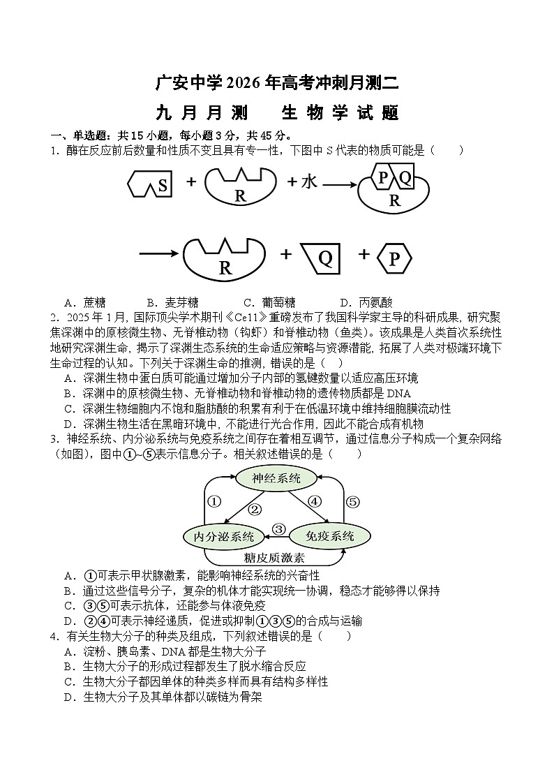 四川省广安中学2025-2026学年高三上学期10月月考生物试卷第1页