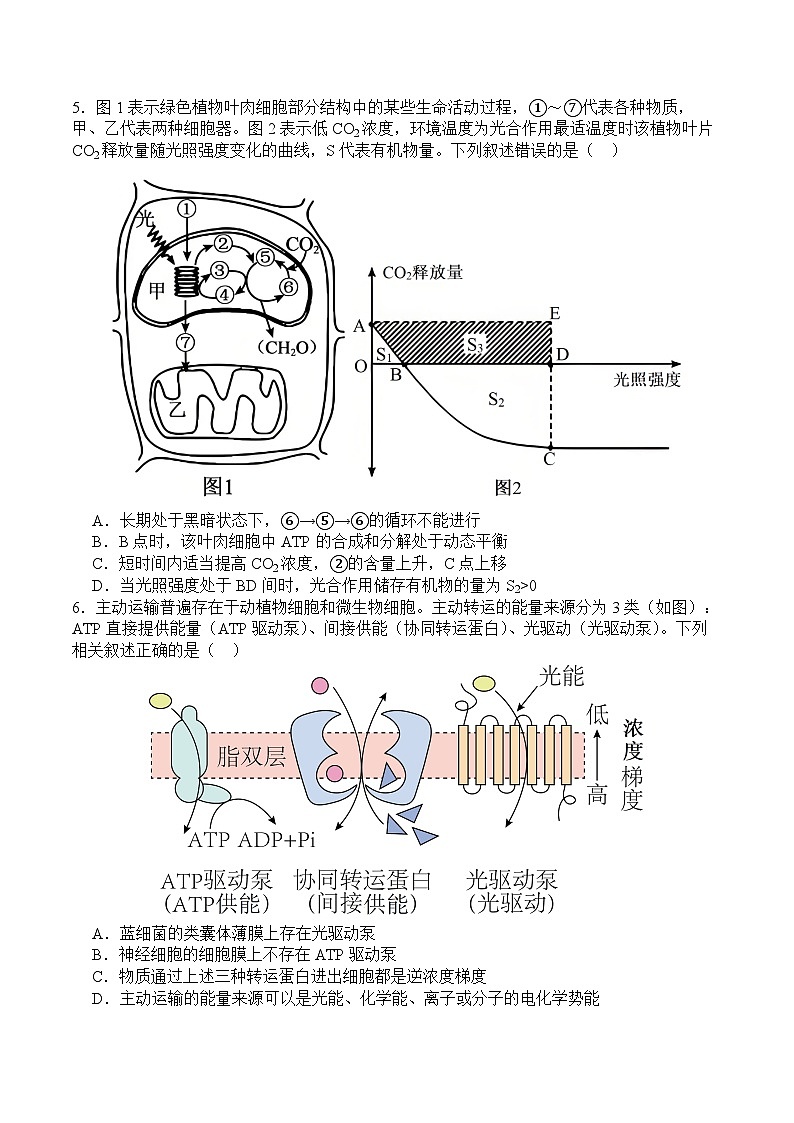 四川省广安中学2025-2026学年高三上学期10月月考生物试卷第2页