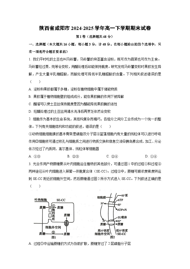 陕西省咸阳市2024-2025学年高一下学期期末生物试卷（学生版）第1页
