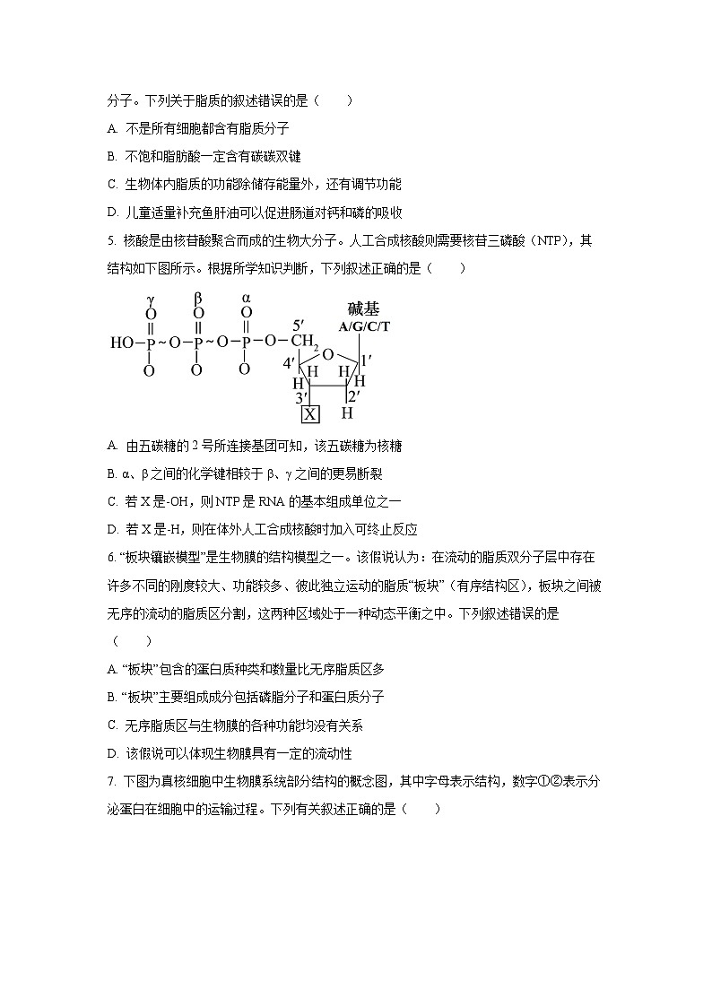 湖南省常德市优质高中学校联盟2024-2025学年高一上学期期末质量检测生物试卷（学生版）第2页