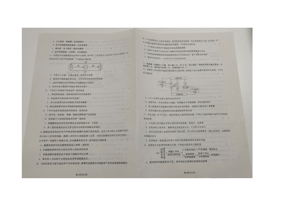 黑龙江省绥化市第二中学2024-2025学年高二上学期期中考试生物试题第2页