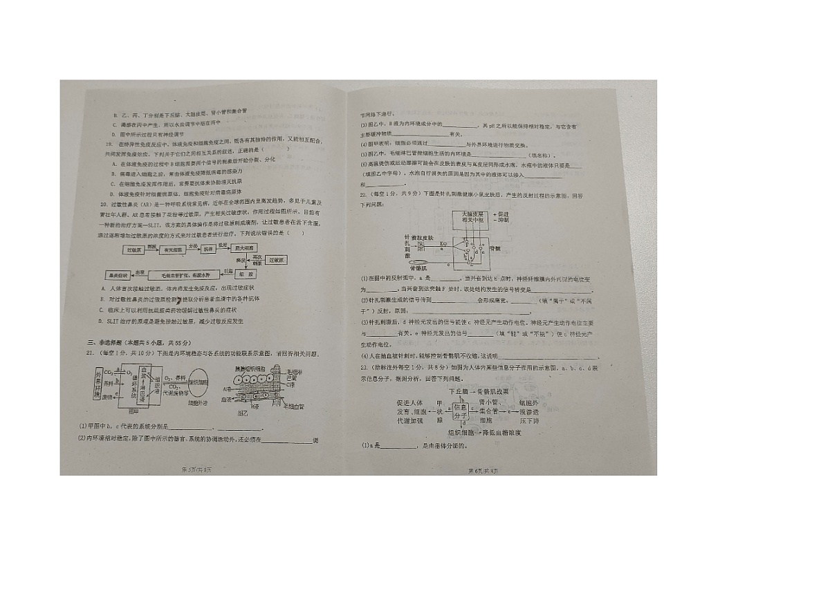 黑龙江省绥化市第二中学2024-2025学年高二上学期期中考试生物试题第3页
