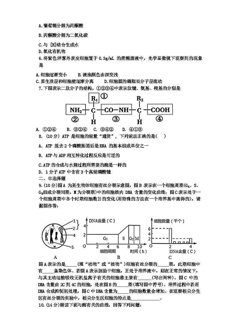 黑龙江省绥化市第一中学2023-2024学高一下学期期末生物试题第2页