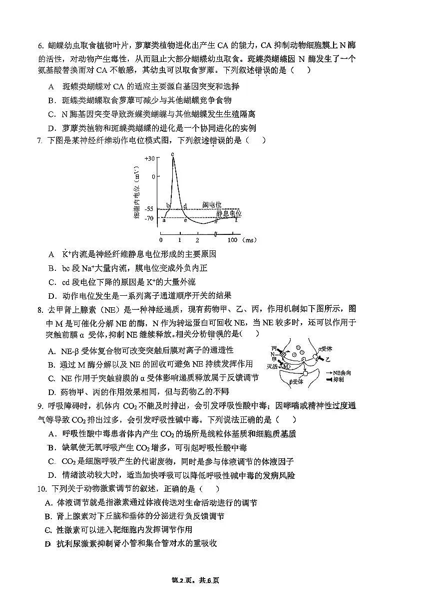2025北京人大附中高三（上）练习二生物第2页