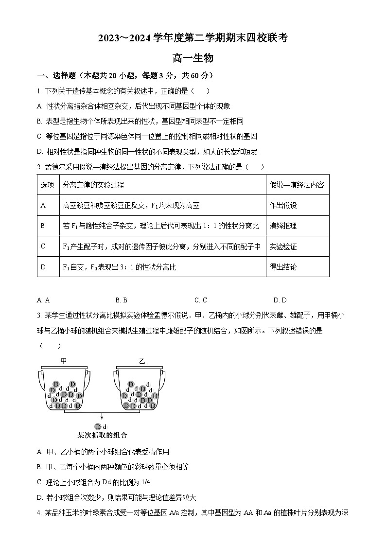 天津市四校联考2023-2024学年高一下学期期末考试生物试卷（原卷版）-A4第1页