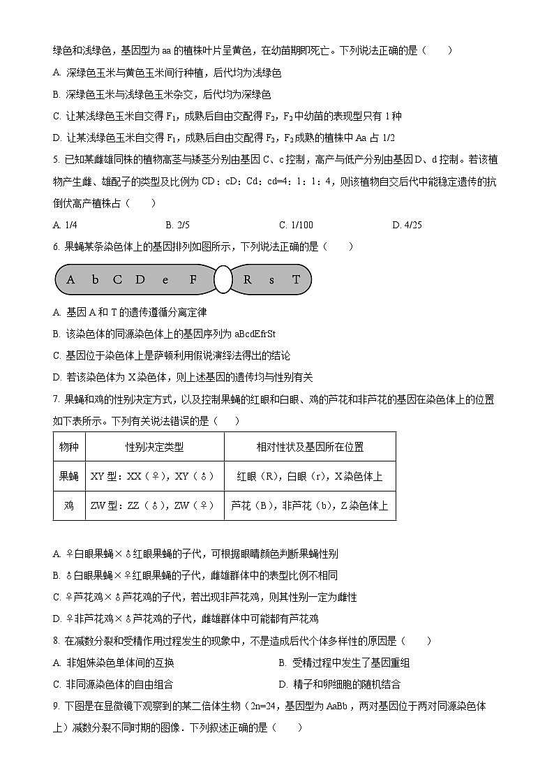 天津市四校联考2023-2024学年高一下学期期末考试生物试卷（原卷版）-A4第2页