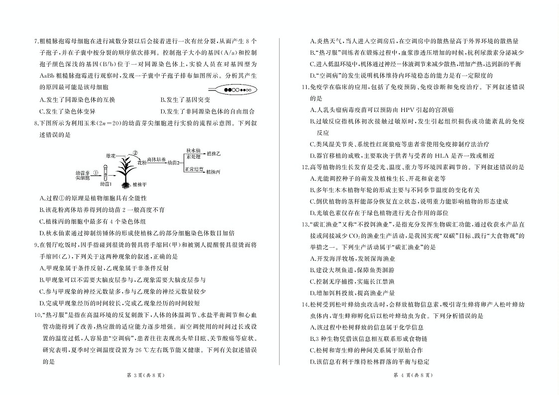 甘肃省部分学校2025届高三上学期第一次联考（期末）生物试卷（含答案）第2页
