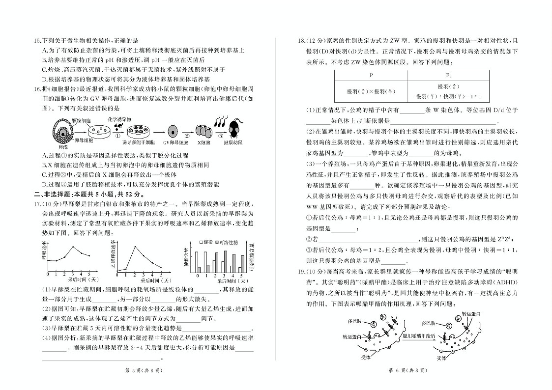 甘肃省部分学校2025届高三上学期第一次联考（期末）生物试卷（含答案）第3页