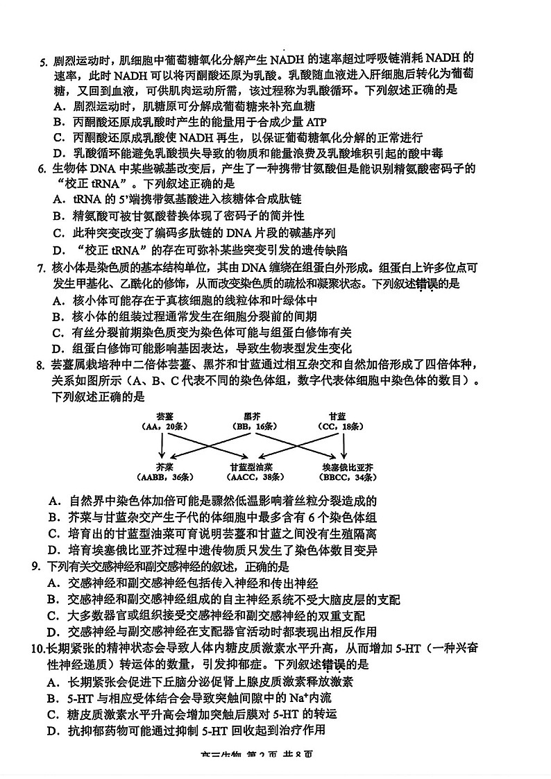 江苏省苏州市2025届高三上学期1月期末阳光指标调研卷-生物试卷（含答案）第2页