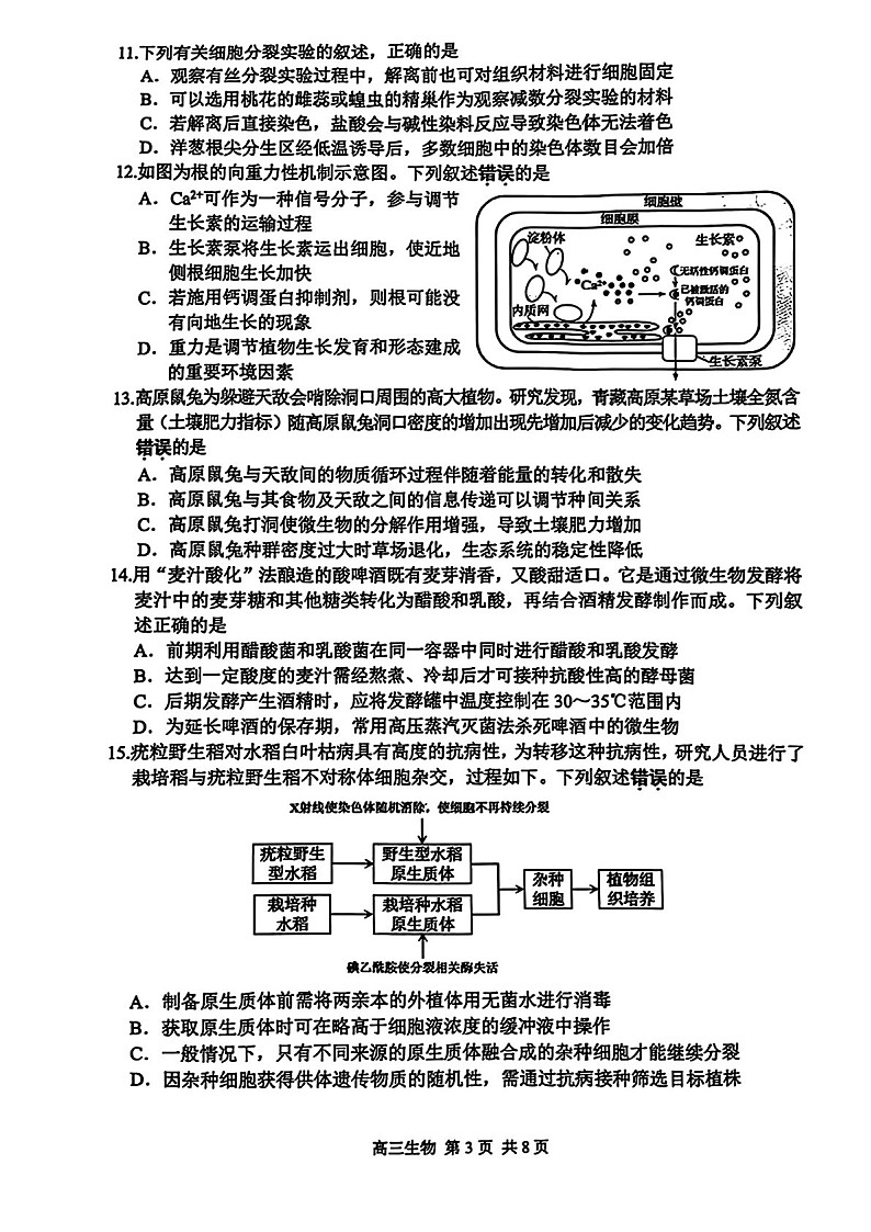 江苏省苏州市2025届高三上学期1月期末阳光指标调研卷-生物试卷（含答案）第3页