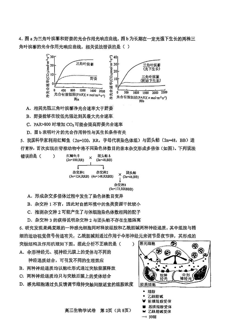 天津市河东区2024-2025学年高三上学期期末质量检测生物试题（含答案）第2页