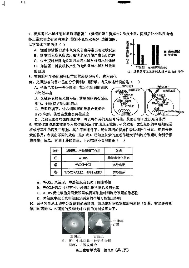 天津市河东区2024-2025学年高三上学期期末质量检测生物试题（含答案）第3页