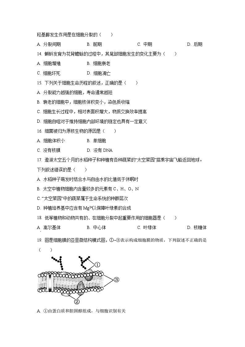 【生物】北京市海淀区2024-2025学年高一上学期1月期末考试试卷（学生版）第3页