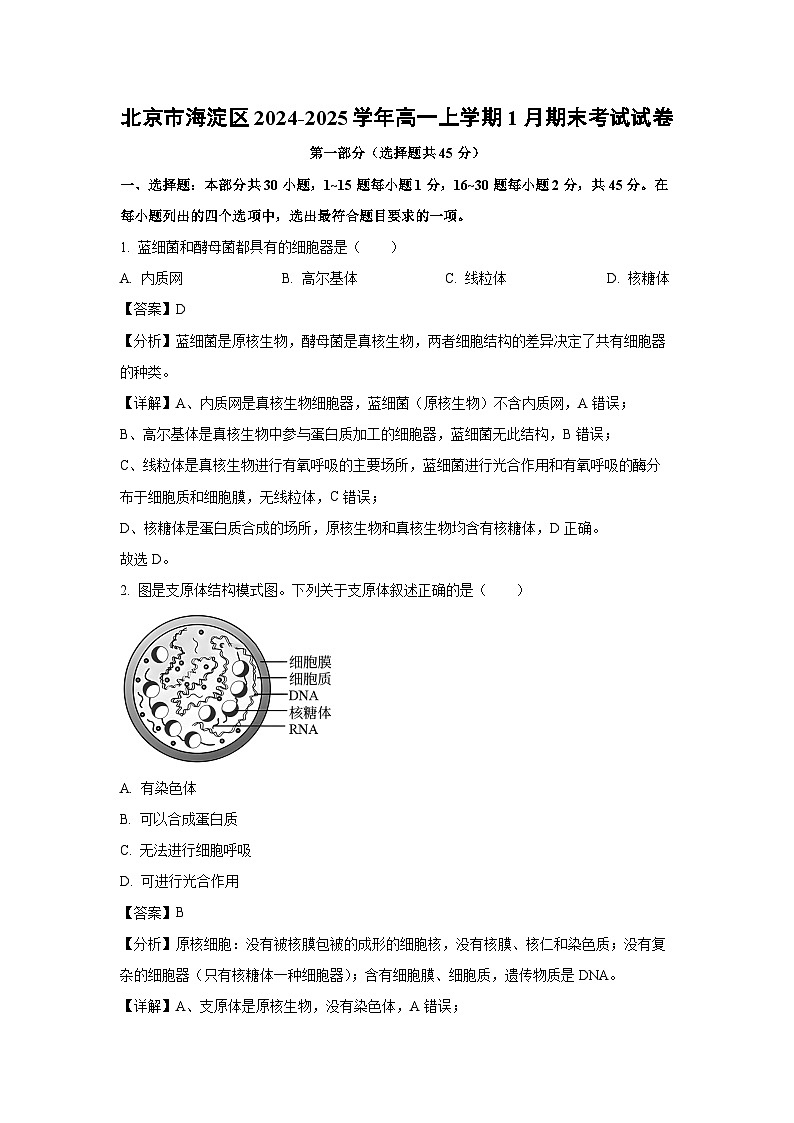 【生物】北京市海淀区2024-2025学年高一上学期1月期末考试试卷（解析版）第1页