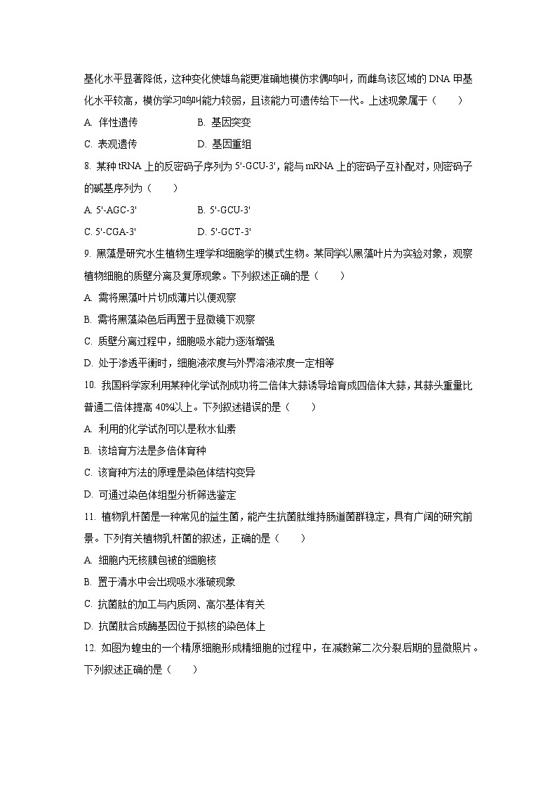 【生物】浙江省台州市2024-2025学年高一下学期期末考试试题（学生版）第2页