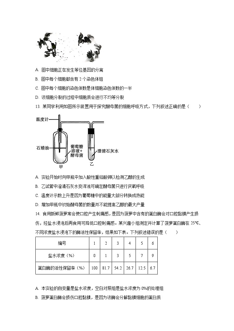【生物】浙江省台州市2024-2025学年高一下学期期末考试试题（学生版）第3页