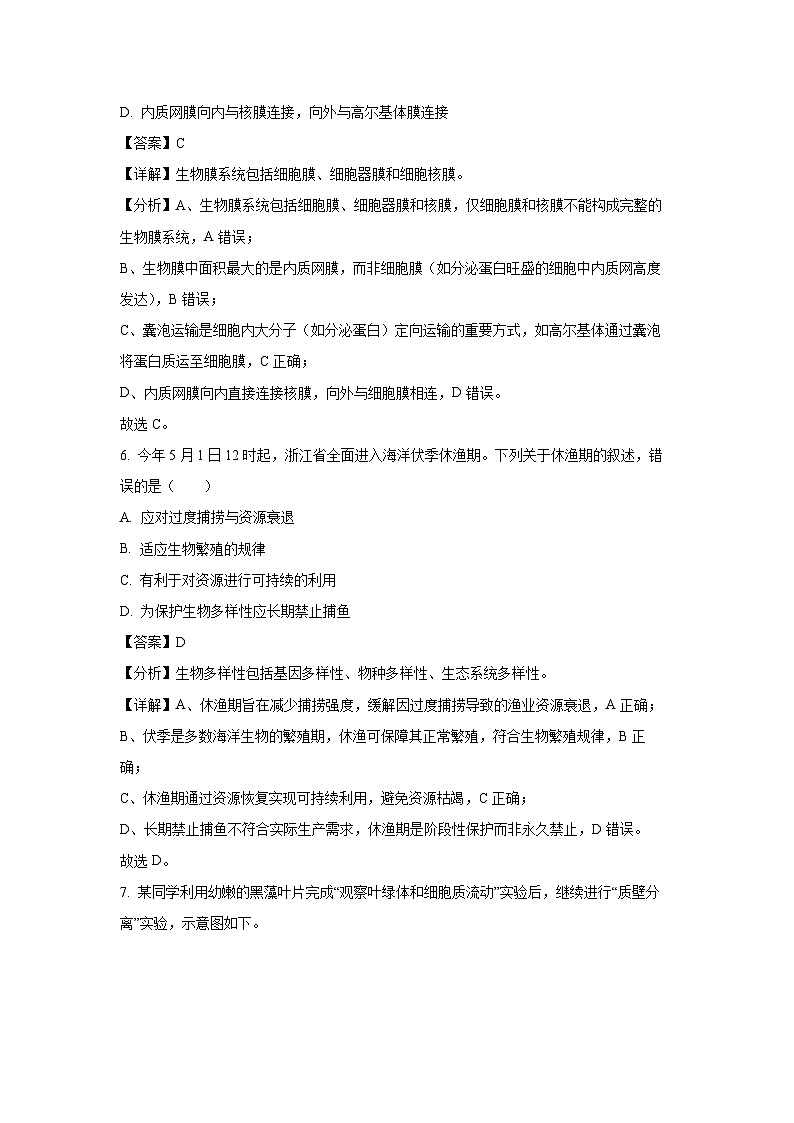 【生物】浙江省温州市十校2024-2025学年高一下学期6月期末试题（解析版）第3页
