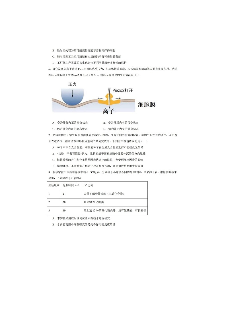 吉林省白城市一中2024-2025学年高二下学期期末考试生物卷含答案第2页