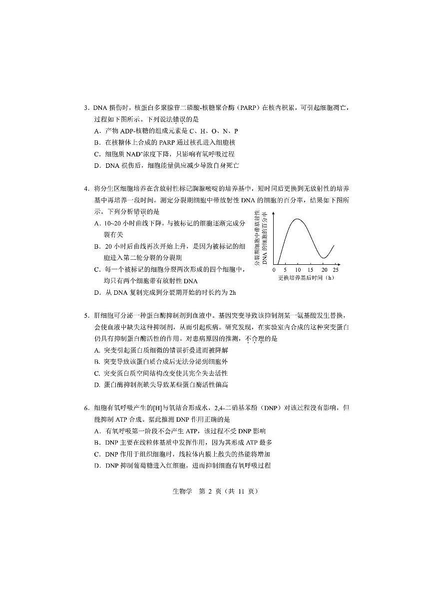 2026届北京市高三下统练生物试卷(无答案)第2页