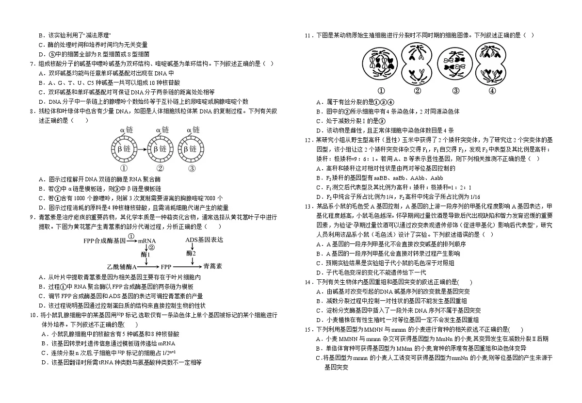 安徽省六安市金安区安徽省六安第一中学2023-2024学年高一下学期6月期末生物试题第2页