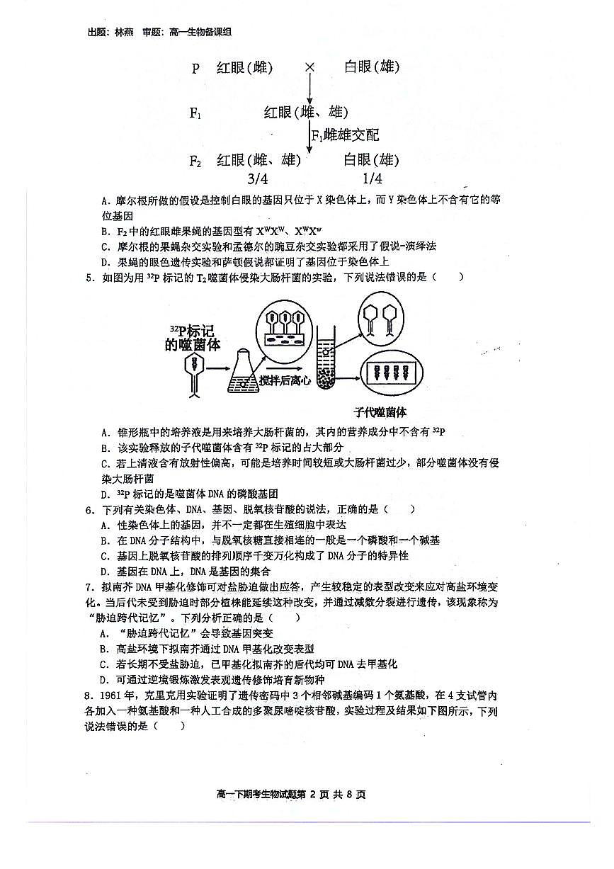 广西壮族自治区南宁市青秀区南宁市第二中学2023-2024学年高一下学期7月期末考试生物试题第2页