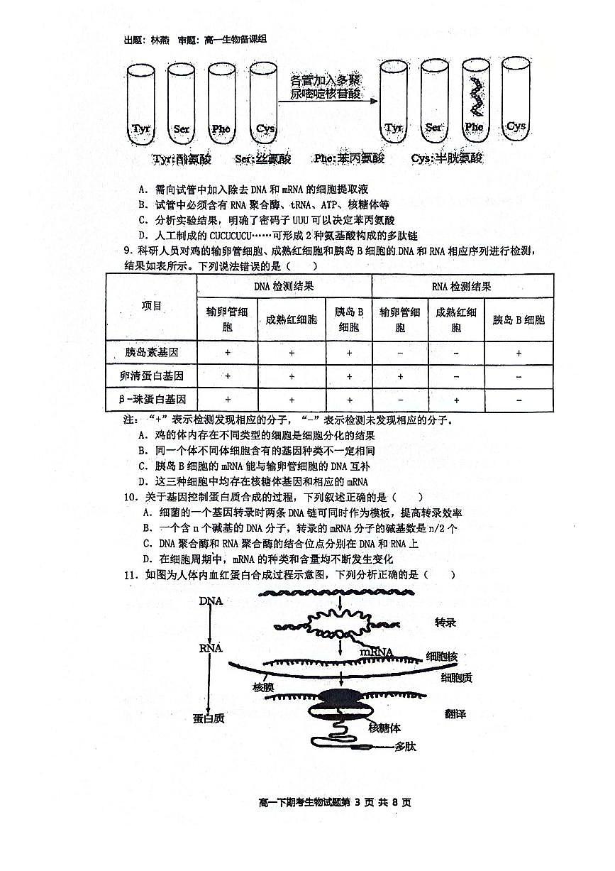 广西壮族自治区南宁市青秀区南宁市第二中学2023-2024学年高一下学期7月期末考试生物试题第3页