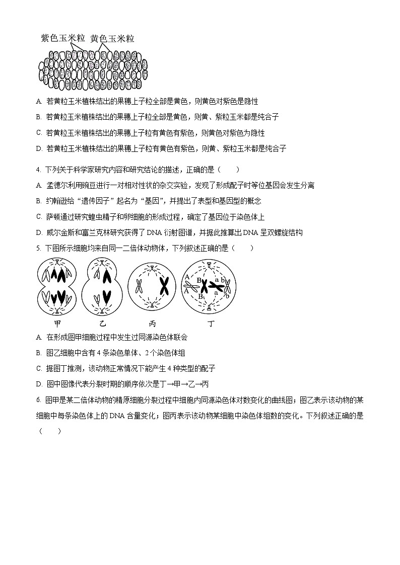 河北省保定市2023-2024学年高一下学期期末调研考试生物试题第2页