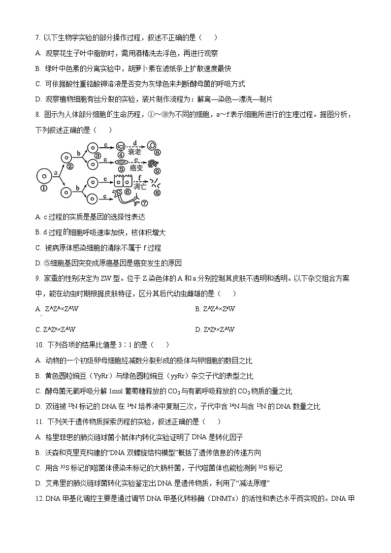 湖南省株洲市天元区株洲市二中教育集团株洲市第二中学2023-2024学年高一下学期期末联考生物试题第3页