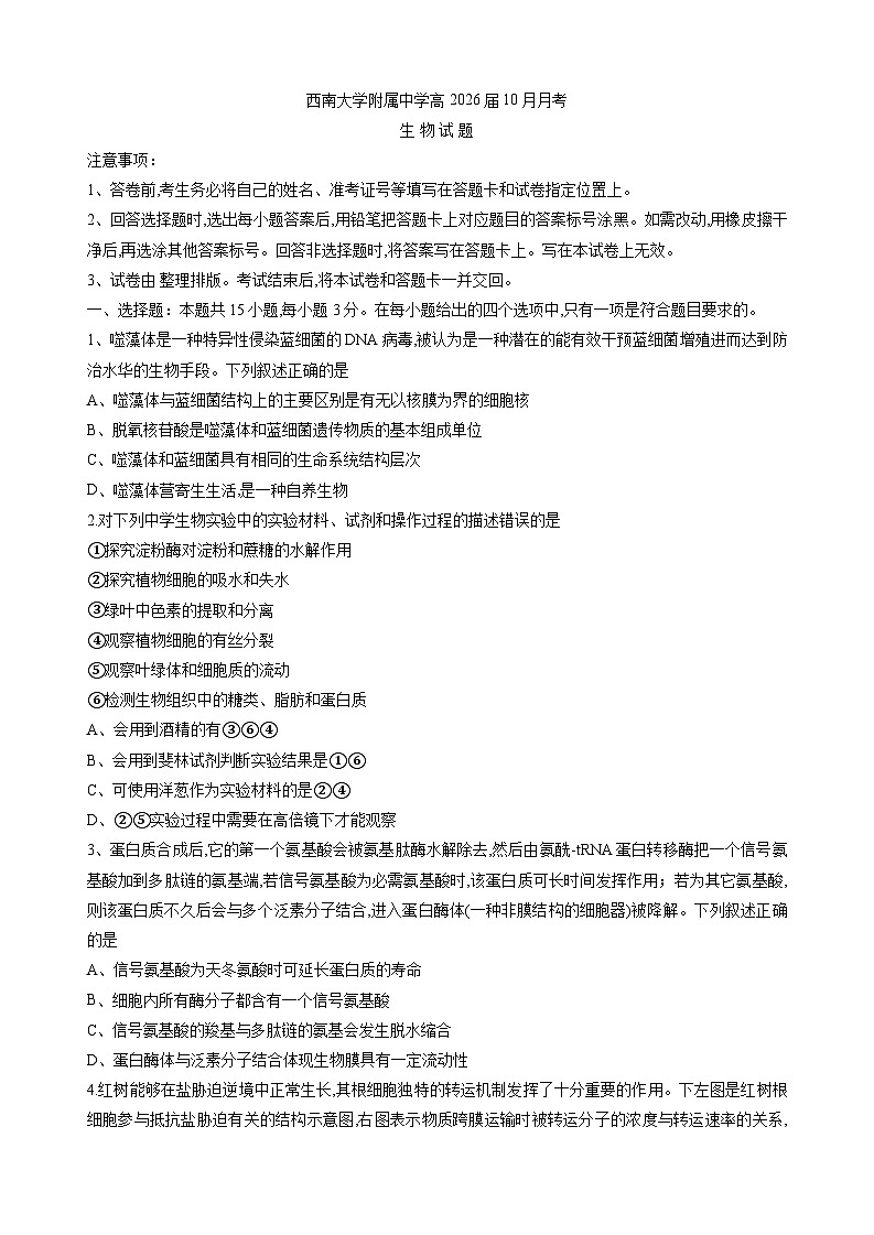 重庆市西南大学附属中学校2025-2026学年高三上学期10月月考生物试卷第1页